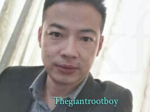 Thegiantrootboy