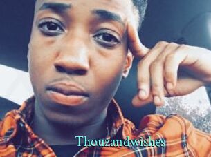 Thouzandwishes
