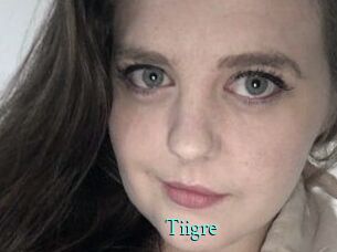 Tiigre_