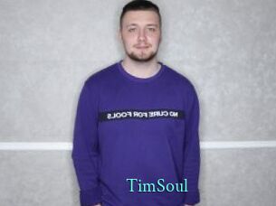 TimSoul