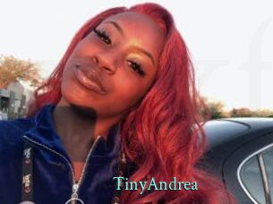 TinyAndrea