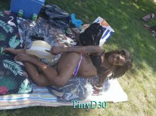 TinyD30