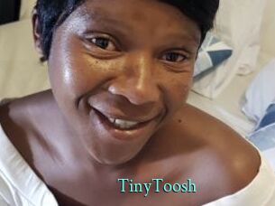 TinyToosh