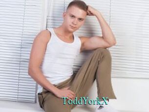 ToddYorkX