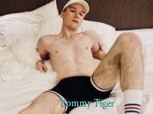 Tommy_Tiger