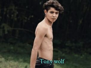 Tony_wolf