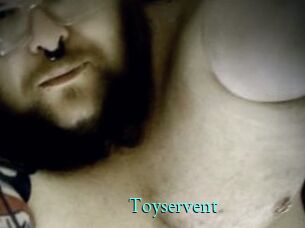 Toyservent