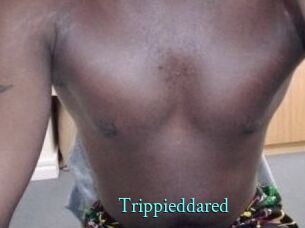 Trippieddared