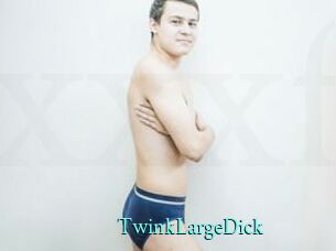 TwinkLargeDick