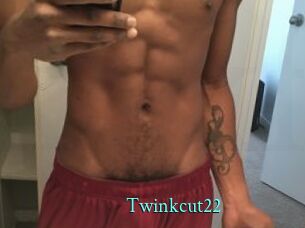 Twinkcut22