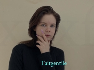 taitgentile xxx Fantasy Land