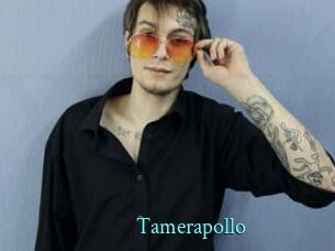 Tamerapollo