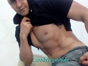 Tarodvirginhole