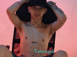 Tatevogel