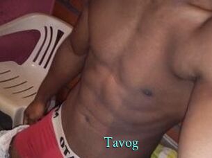Tavog