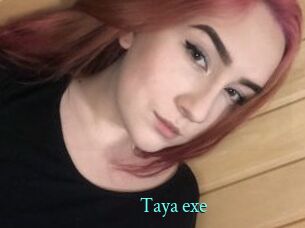 Taya_exe