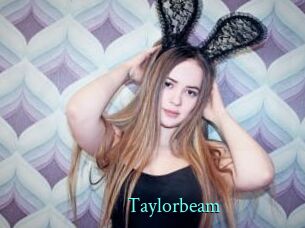 Taylorbeam