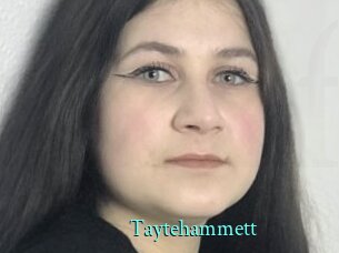 Taytehammett