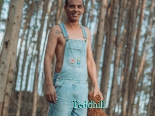 Teddhill