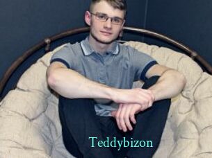 Teddybizon