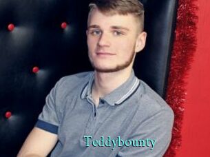 Teddybounty