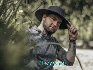 Teddysteel
