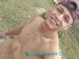 The_little_bruette_228