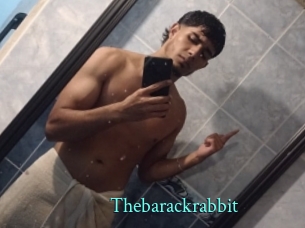 Thebarackrabbit