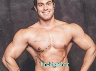 Thebig22cm