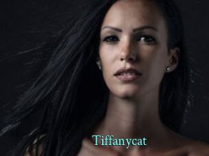 Tiffanycat