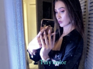 Tiny_taylor