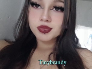 Tinybrandy