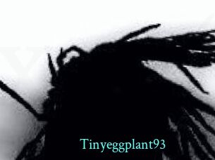 Tinyeggplant93