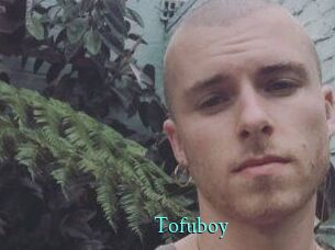 Tofu_boy