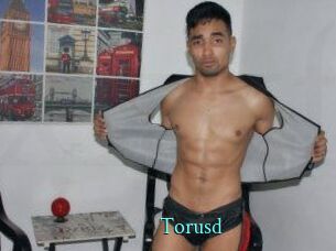 Torusd
