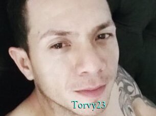 Torvy23