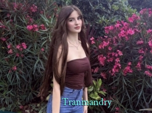 Tranmandry