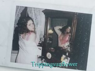 Trippingsunflower