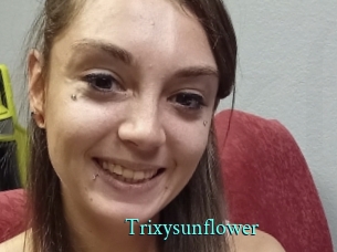 Trixysunflower