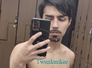 Twunkmikee