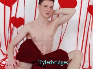 tylerbridges xxx Fantasy Land