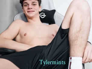 tylermints xxx Fantasy Land