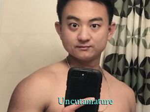 Uncutamature xxx Fantasy Land