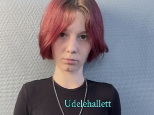 Udelehallett
