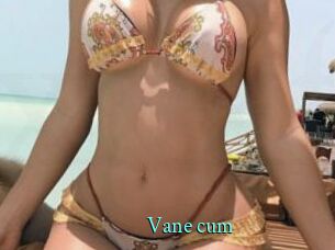 Vane_cum