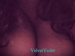 VelvetViolet