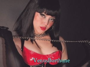 VenusBorthune