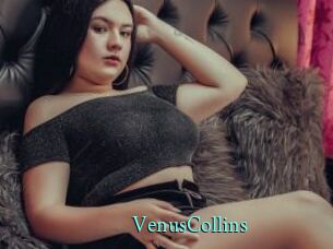 VenusCollins