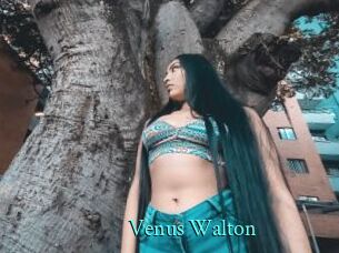Venus_Walton