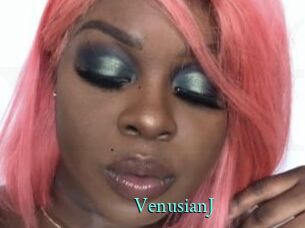 VenusianJ